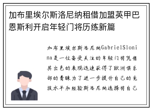 加布里埃尔斯洛尼纳租借加盟英甲巴恩斯利开启年轻门将历练新篇